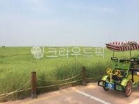 들판, 하늘, 농장, 보리밭, 팜랜드, 사진,이미지,일러스트,캘리그라피 - ㅈㄹㄹ작가 크라우드픽 - 저작권 걱정 없는 상업용 이미지