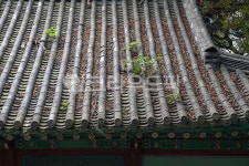 기와, 지붕, 한옥, 기와지붕, 사찰지붕, 사진,이미지,일러스트,캘리그라피 - Deep bLUE작가 크라우드픽 - 저작권 걱정 없는 상업용 이미지