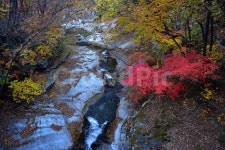설악산, 가을, 풍경, 단풍, 탐방 사진, 이미지 - 릴작가 가장 한국적인 스톡 사진 - 크라우드픽