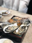 생굴, 석화, 하프쉘, seafood, 해물, 사진,이미지,일러스트,캘리그라피 - 혀누라네작가 크라우드픽 - 저작권 걱정 없는 상업용 이미지