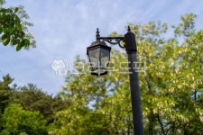 lamp, 램프, 가로등, 등, 전등, 사진,이미지,일러스트,캘리그라피 - 헝그리작가작가 크라우드픽 - 저작권 걱정 없는 상업용 이미지