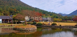 진도, 운림산방, 진도운림산방, 숲, nature, 사진,이미지,일러스트,캘리그라피 - 소금쟁이작가 크라우드픽 - 저작권 걱정 없는 상업용 이미지