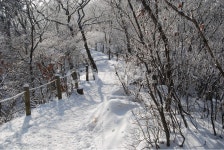 청계산, 100대명산, 매봉, 설원, 등산로, 사진,이미지,일러스트,캘리그라피 - 김창래작가 크라우드픽 - 저작권 걱정 없는 상업용 이미지