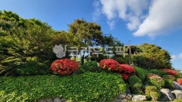 공원, 정원, 하늘, 조화로운, 꽃, 사진,이미지,일러스트,캘리그라피 - paulos작가 크라우드픽 - 저작권 걱정 없는 상업용 이미지