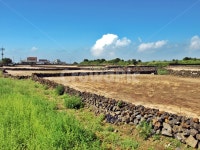 농로, 제주, 올레20코스, 올레, 돌담, 사진,이미지,일러스트,캘리그라피 - Deep bLUE작가 크라우드픽 - 저작권 걱정 없는 상업용 이미지