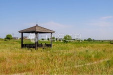 자연, 정자, nature, 나무, 옥외, 사진,이미지,일러스트,캘리그라피 - studio H작가 크라우드픽 - 저작권 걱정 없는 상업용 이미지