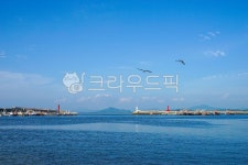 항구, 새, 등대, bird, animal, 사진,이미지,일러스트,캘리그라피 - 디지털픽처작가 크라우드픽 - 저작권 걱정 없는 상업용 이미지