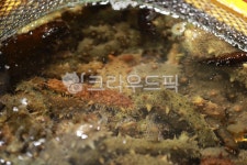 해산물, seafood, 해삼, 음식, food, 사진,이미지,일러스트,캘리그라피 - 빵호빵호작가 크라우드픽 - 저작권 걱정 없는 상업용 이미지