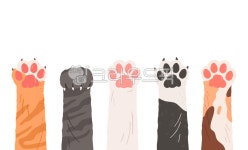 고양이, 일러스트, 귀여운, 발바닥, 발, 사진,이미지,일러스트,캘리그라피 - woocat작가 크라우드픽 - 저작권 걱정 없는 상업용 이미지