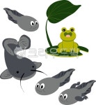 개구리, 연못, 올챙이, 메기, 연못생물, 사진,이미지,일러스트,캘리그라피 - 율화작가 크라우드픽 - 저작권 걱정 없는 상업용 이미지