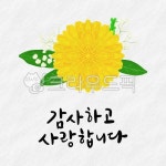flower, 꽃, 부토니아, 감사합니다, 사랑합니다, 사진,이미지,일러스트,캘리그라피 - 감성더하기작가 크라우드픽 - 저작권 걱정 없는 상업용 이미지