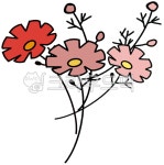 코스모스, 코스노스일러스트, 가을꽃, 가을꽃그림, 코스모스그림, 사진,이미지,일러스트,캘리그라피 - flowerming57작가 크라우드픽 - 저작권... 