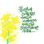 봄, 사랑, 꽃, 봄꽃, 캘리그라피, 사진,이미지,일러스트,캘리그라피 - 누드초코작가 크라우드픽 - 저작권 걱정 없는 상업용 이미지
