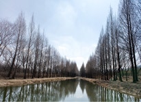 경주, 풍경사진, 산림환경연구원, 봄, 스냅, 사진,이미지,일러스트,캘리그라피 - HaDamPhoto작가 크라우드픽 - 저작권 걱정 없는 상업용 이미지