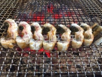 장어, 구이, 숯불, 보양식, 음식, 사진,이미지,일러스트,캘리그라피 - Jack Park작가 크라우드픽 - 저작권 걱정 없는 상업용 이미지