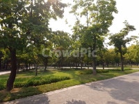 산책로, 공원, 공원산책길, 눈부신햇살, 화창한날씨, 사진,이미지,일러스트,캘리그라피 - jaewon6작가 크라우드픽 - 저작권 걱정 없는 상업용... 