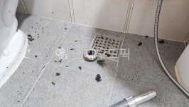 배수관, 하수도, 청소, 화장실, 배수구, 사진,이미지,일러스트,캘리그라피 - SeeOn작가 크라우드픽 - 저작권 걱정 없는 상업용 이미지