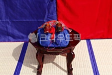 원앙, 원앙새, 새, 금술, 조각품, 사진,이미지,일러스트,캘리그라피 - youngwon작가 크라우드픽 - 저작권 걱정 없는 상업용 이미지