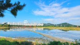 outdoors, 옥외, nature, 자연, 염전, 사진,이미지,일러스트,캘리그라피 - 지니날다작가 크라우드픽 - 저작권 걱정 없는 상업용 이미지