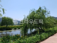 개울, 연못, 냇가, 시냇물, 공원, 사진,이미지,일러스트,캘리그라피 - ssam작가 크라우드픽 - 저작권 걱정 없는 상업용 이미지