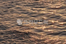 해돋이, sunset, nature, 윤슬, 자연, 사진,이미지,일러스트,캘리그라피 - Nsera898작가 크라우드픽 - 저작권 걱정 없는 상업용 이미지