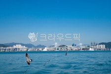 자연, 풍경, 경치, 부산, 해운대, 사진,이미지,일러스트,캘리그라피 - 서은작가 크라우드픽 - 저작권 걱정 없는 상업용 이미지