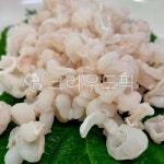 음식, food, 아나고, 바다장어, 꼼장어, 사진,이미지,일러스트,캘리그라피 - ELO작가 크라우드픽 - 저작권 걱정 없는 상업용 이미지