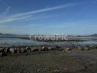 매생이작업, 바다, 고흥신평리, 고흥금산, 고흥월포마을, 사진,이미지,일러스트,캘리그라피 - 풍경채작가 크라우드픽 - 저작권 걱정 없는 상업용... 