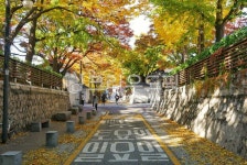 가을, 단풍, 감고당길, 길, 도로, 사진,이미지,일러스트,캘리그라피 - sigisiging작가 크라우드픽 - 저작권 걱정 없는 상업용 이미지