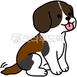 강아지, 꼬리흔드는강아지, 아기강아지, 귀여운강아지, 갈색포인트강아지, 사진,이미지,일러스트,캘리그라피 - madang7920작가 크라우드픽... 