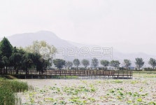 풍경, 산, 호수, 연못, 공원, 사진,이미지,일러스트,캘리그라피 - 미지의 세계로작가 크라우드픽 - 저작권 걱정 없는 상업용 이미지