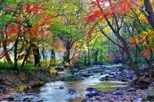 고창, 선운사, 도솔천, 선운사가을, 도솔천만추, 사진,이미지,일러스트,캘리그라피 - 영산공작가 크라우드픽 - 저작권 걱정 없는 상업용 이미지