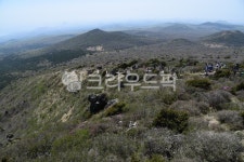 제주, 한라산, 경관, 자연, 네이처, 사진,이미지,일러스트,캘리그라피 - 소야멍멍해바작가 크라우드픽 - 저작권 걱정 없는 상업용 이미지