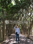나무, 사람, 자연, 숲, tree, 사진,이미지,일러스트,캘리그라피 - hyemdho작가 크라우드픽 - 저작권 걱정 없는 상업용 이미지