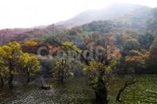 주산지, 단풍, 저수지, 나무, 감성, 사진,이미지,일러스트,캘리그라피 - SoBLuE작가 크라우드픽 - 저작권 걱정 없는 상업용 이미지