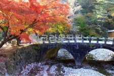 단풍, 내장사, 내장산, 자연, 계절, 사진,이미지,일러스트,캘리그라피 - 헬로짱작가 크라우드픽 - 저작권 걱정 없는 상업용 이미지