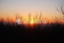 일출, 2025년, 새해, 푸른뱀띠해, 토함산, 사진,이미지,일러스트,캘리그라피 - piet0607작가 크라우드픽 - 저작권 걱정 없는 상업용 이미지