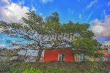 nature, 자연, outdoors, 옥외, housing, 사진,이미지,일러스트,캘리그라피 - 탐라는 島다작가 크라우드픽 - 저작권 걱정 없는 상업용 이미지