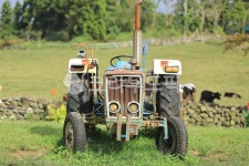 트랙터, 농장, 들판, 나이든, 목초, 사진,이미지,일러스트,캘리그라피 - Zorba작가 크라우드픽 - 저작권 걱정 없는 상업용 이미지