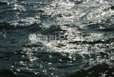 윤슬, 파도, 겨울, water, 물, 사진,이미지,일러스트,캘리그라피 - N789914작가 크라우드픽 - 저작권 걱정 없는 상업용 이미지