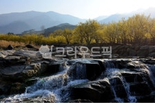 nature, 자연, outdoors, 옥외, 구례산동산수유마을, 사진,이미지,일러스트,캘리그라피 - 영산공작가 크라우드픽 - 저작권 걱정 없는 상업용... 