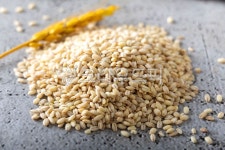 보리쌀, 보리, 통보리, 햇보리쌀, 잡곡, 사진,이미지,일러스트,캘리그라피 - 돌프작가 크라우드픽 - 저작권 걱정 없는 상업용 이미지