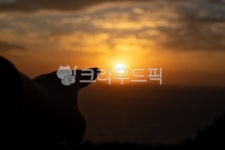 새해, 소망, 손가락, 방향, 나아가다, 사진,이미지,일러스트,캘리그라피 - kgeon snap작가 크라우드픽 - 저작권 걱정 없는 상업용 이미지