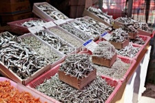 멸치, 마른멸치, 건어물, 가게, 상회, 사진,이미지,일러스트,캘리그라피 - 함께사는세상작가 크라우드픽 - 저작권 걱정 없는 상업용 이미지