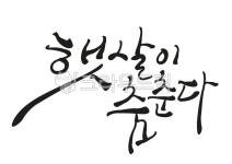 손글씨, 예쁜손글씨, 캘리그라피, pop글씨, 피오피글씨, 사진,이미지,일러스트,캘리그라피 - 지원누림작가 크라우드픽 - 저작권 걱정 없는 상업용... 