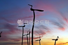 솟대, 민간신앙, 기원, 별신대, 마을신앙, 사진,이미지,일러스트,캘리그라피 - Deep bLUE작가 크라우드픽 - 저작권 걱정 없는 상업용 이미지