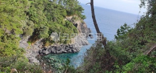 자연, 바다, 초목, sea, nature, 사진,이미지,일러스트,캘리그라피 - 도옹이작가 크라우드픽 - 저작권 걱정 없는 상업용 이미지