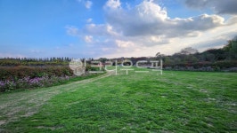 여름숲, 비온후숲, 힐링, 숲, 풍경, 사진,이미지,일러스트,캘리그라피 - vmylov2v작가 크라우드픽 - 저작권 걱정 없는 상업용 이미지