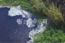 대저생태공원, 가을, 자연, nature, 산책, 사진,이미지,일러스트,캘리그라피 - 행이작가 크라우드픽 - 저작권 걱정 없는 상업용 이미지