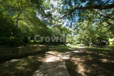 숲길, 숲속, 예쁜길, 나무들, 예쁜풍경, 사진,이미지,일러스트,캘리그라피 - 해월작가 크라우드픽 - 저작권 걱정 없는 상업용 이미지